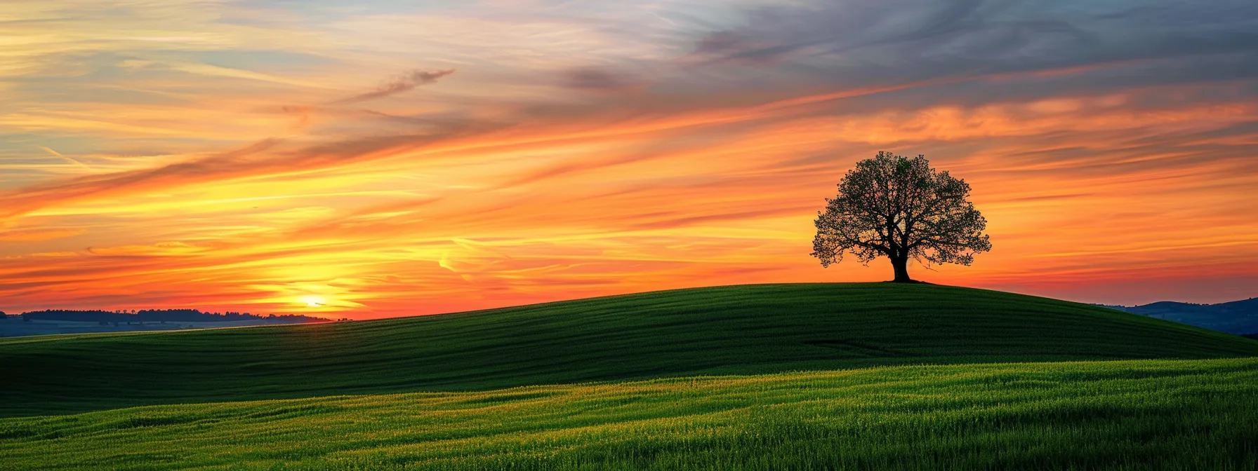 a vibrant landscape of rolling green hills meets a brilliant sunset, with a solitary tree silhouetted against the colorful sky, embodying the tranquility of nature.